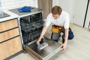 esenler vestel servis